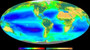 « Seawifs global biosphere » par Provided by the SeaWiFS Project, Goddard Space Flight Center and ORBIMAGE — http://oceancolor.gsfc.nasa.gov/SeaWiFS/BACKGROUND/Gallery/index.html and from en:Image:Seawifs global biosphere.jpg. Sous licence Domaine public 