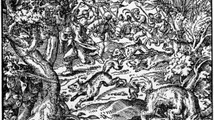 "Wolfhunt1582". Licensed under Public Domain via Wikimedia Commons - https://commons.wikimedia.org/wiki/File:Wolfhunt1582.jpg#/media/File:Wolfhunt1582.jpg