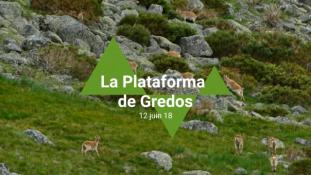 2018-Sierra de Gredos-05/11