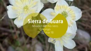 2018-Mirador del Rio Vero-1/3