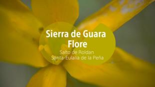 2018-Salto de Roldan-Flore-3/3