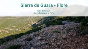 2018-Salto de Roldan-Flore-2/3