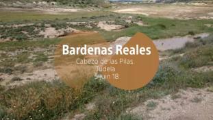 2018-Bardenas Reales-7/10