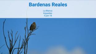 2018-Bardenas Reales-9/10