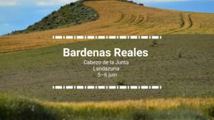 2018-Bardenas Reales-10/10