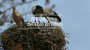 2018-Ebro en Alfaro-1/2