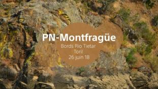 2018-Parc de Montfrague-07/53