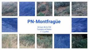 2018-Parc de Montfrague-16/53