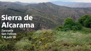2018-Sierra de Alcarama-2/2