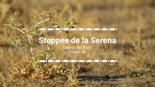 2018-Steppes de la Serena-4/4