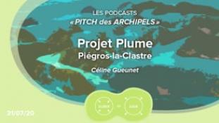 Pitch des Archipels-Plume