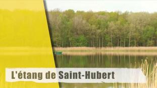 L'étang de Saint-Hubert