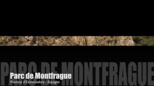 Teaser-Montfragüe