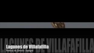 Teaser-Villafafila