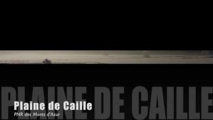 Teaser-Caille-Hivers