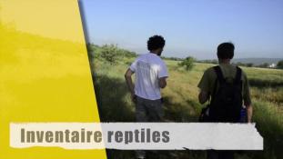 Inventaire reptiles-1/2